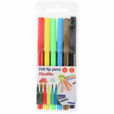 Gekleurde stiften in etui 6 stuks