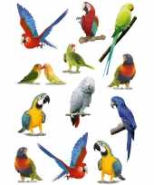 12x vogel stickers voor kinderen